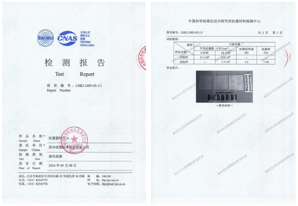 1735193797242731.jpg 00.jpg